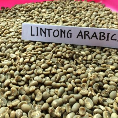 Lintong