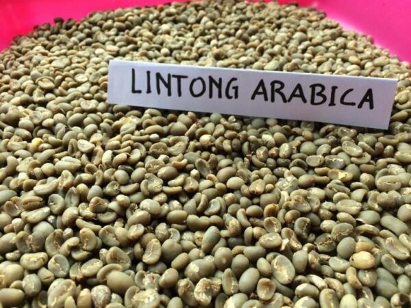 Lintong