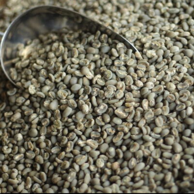 Gayo